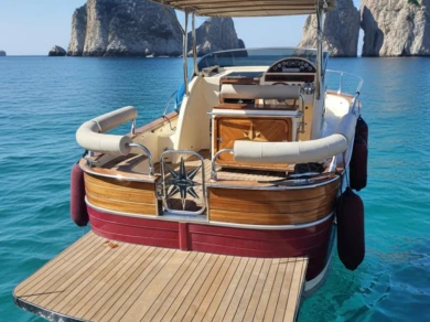 Hire Motorboat with or without skipper viveur Capri