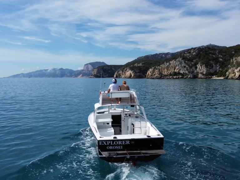 Location Bateau à moteur Bertram avec permis