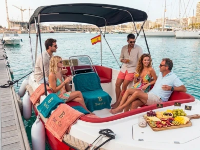 Hire Motorboat with or without skipper Mareti Alicante