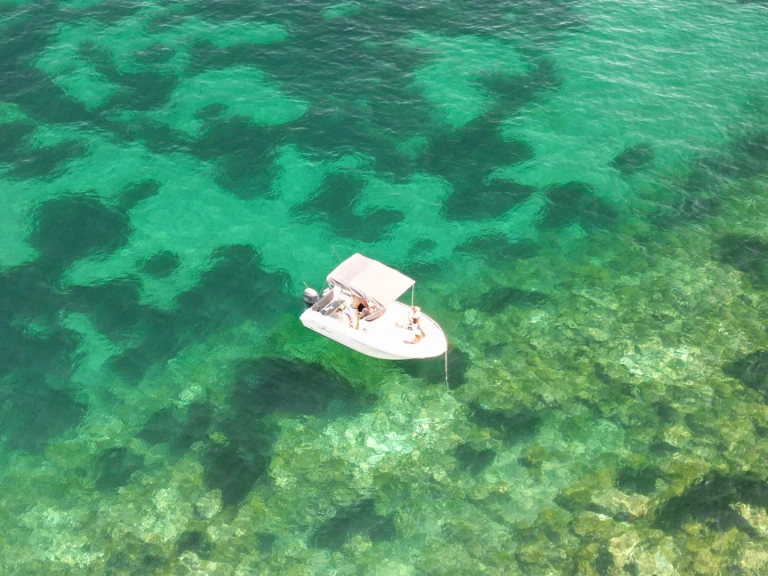 Location Bateau à moteur à Mandelieu-la-Napoule - Pacific Craft Pacific Craft 545 Open