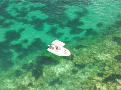 Noleggio Barca a motore a Mandelieu-la-Napoule – Pacific Craft Pacific Craft 545 Open