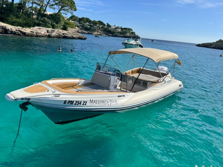 Semi-rigide à louer à Cala d'Or au meilleur prix