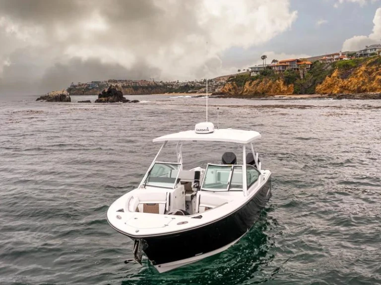 Location bateau Blackfin 272 DC  à West Palm Beach sur Samboat