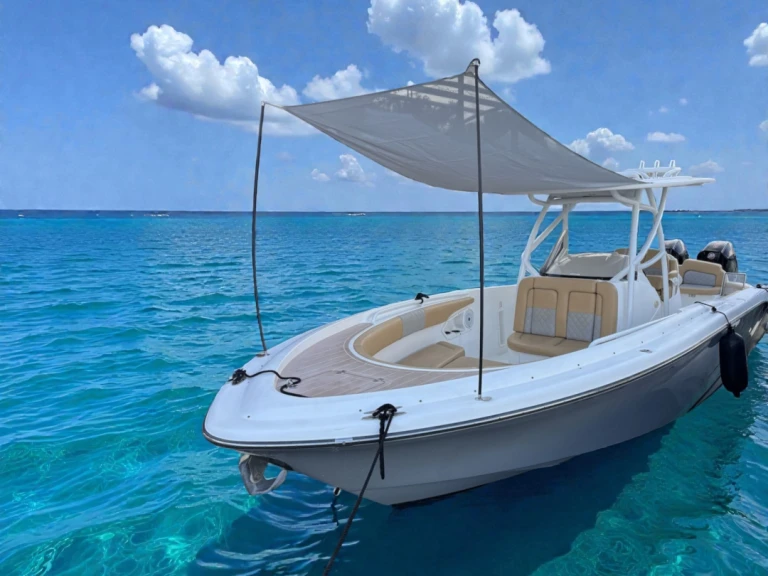Louez un Pronautica 880 Open Sport à Port d'Alcudia