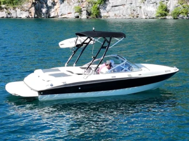 Noleggio Barca a motore con o senza skipper Bayliner a Annecy