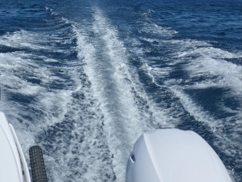 Location bateau Poseidon Blu Water 170 à Kerí sur Samboat