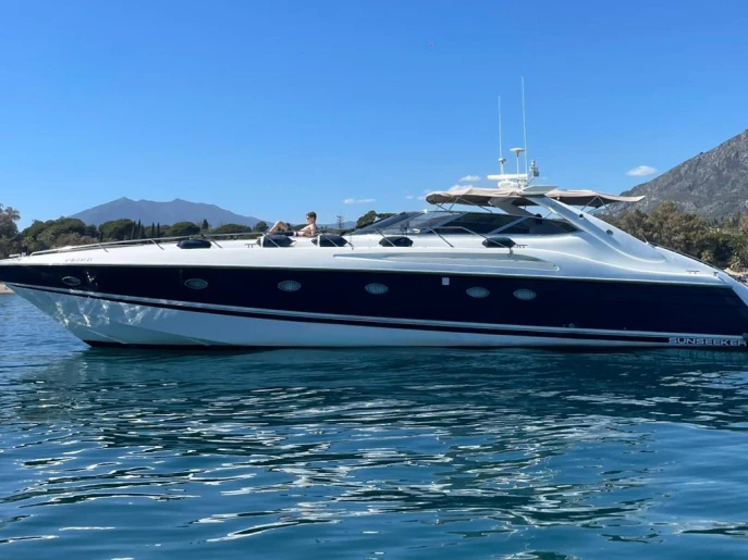 Location bateau Puerto Deportivo de Marbella pas cher Predator 63