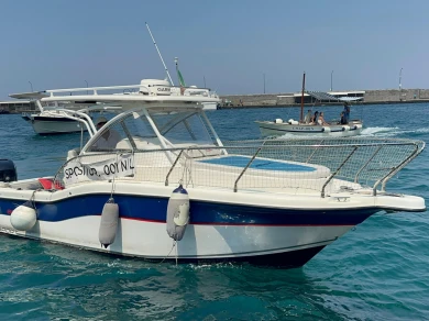 Location Bateau à moteur SEAGAME avec permis