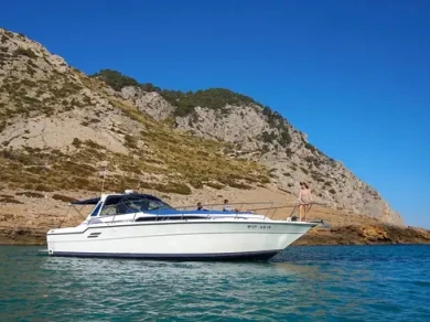 Motorboat hire in Port de Pollença - Sea Ray 460