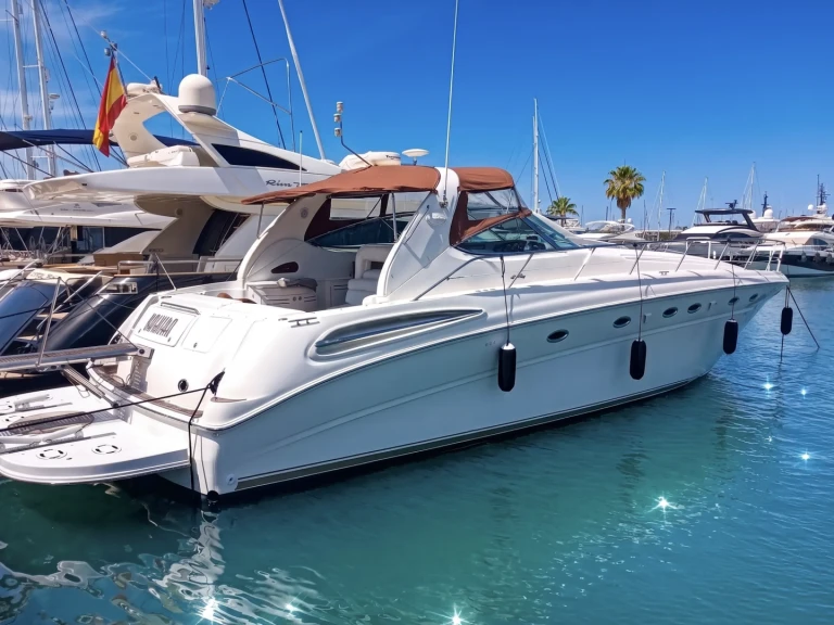 Louer Bateau à moteur avec ou sans skipper Sea Ray à Port de Pollença