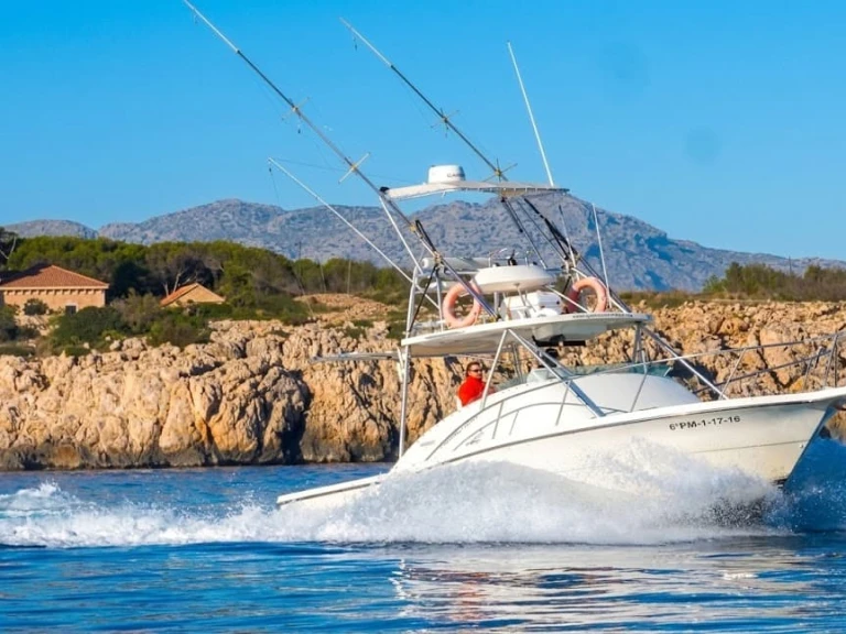 Bateau à moteur à louer à Port de Pollença au meilleur prix