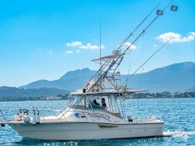 Wynajem łodzi Port de Pollença tanio 3100 open