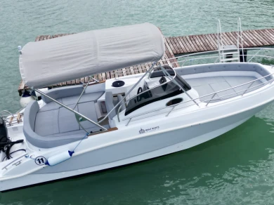 Louez un Marinello Eden 26 Open à Sirmione