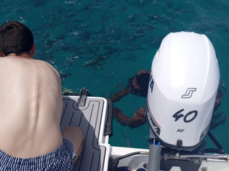 Louez un Astillero Fernández Hidalgo Crimat Silver 560 à Port d'Alicante