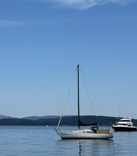 Location bateau Albin 79 Quarter Ton class à Sidney sur Samboat