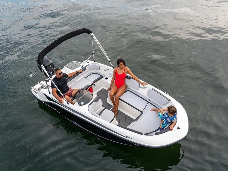 Louez un Bayliner ELEMENT M15 à Sanguinet