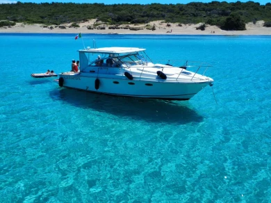 Sea Ray Sea Ray 340 Express Cruiser in Gallipoli on SamBoat
