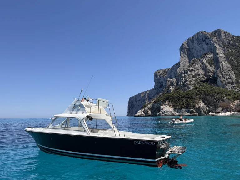Location Bateau à moteur Bertram avec permis