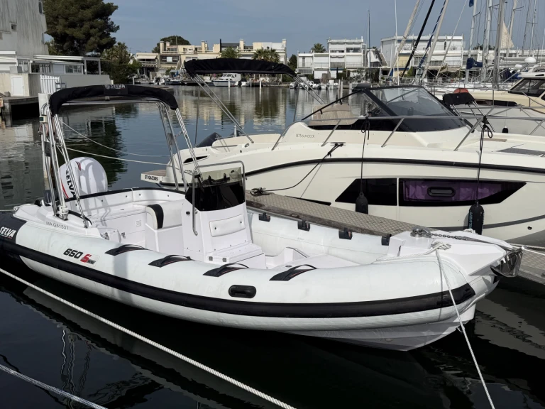 Louez un Selva Selva d 650 family à France