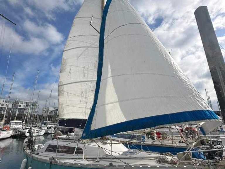 Location bateau Jeanneau Brin de folie à Brest sur Samboat