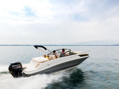 Bayliner VR6 między profesjonalistami a osobami prywatnymi w Marseille