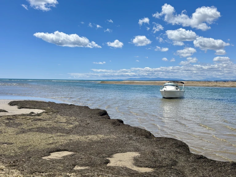 Location Bateau à moteur Sbpem avec permis