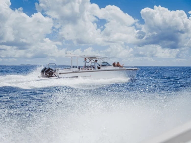 Bateau à moteur à louer à Baie Nettlé au meilleur prix