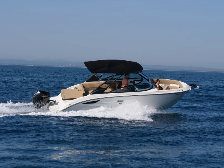 Location Bateau à moteur Sea Ray avec permis