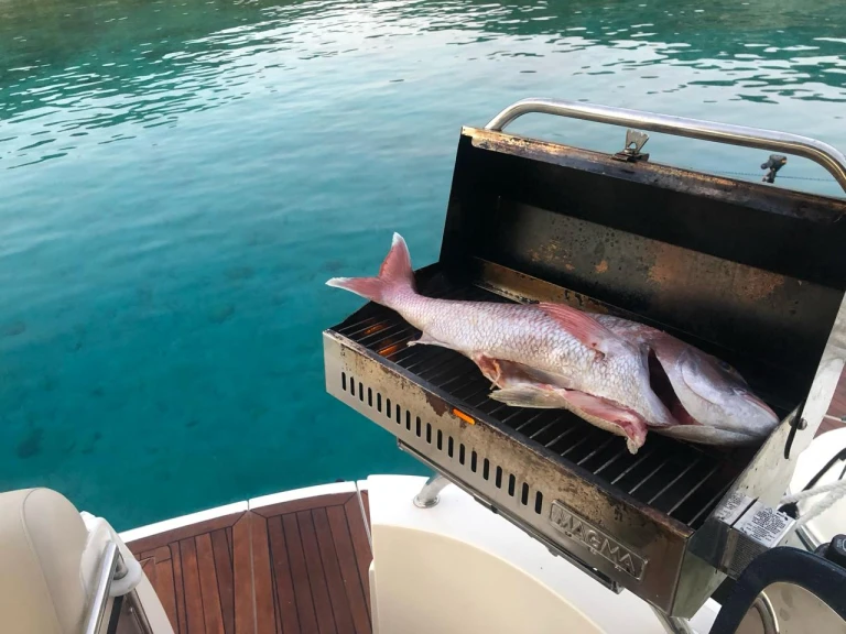 Location bateau Rhodes (Ville) pas cher Sealine S38