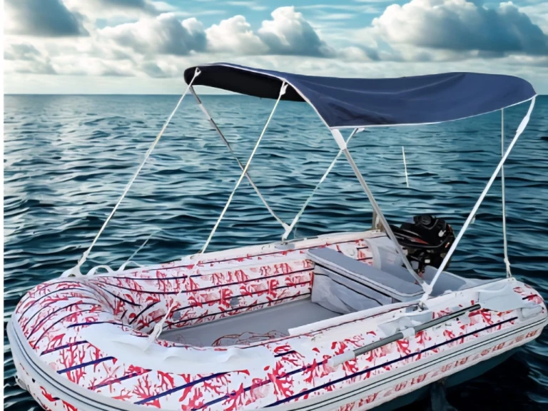 Location bateau Le Brusc pas cher RIB3