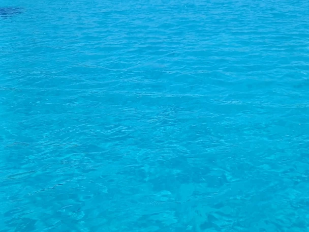 Louez un Combac Shark  à Marsala