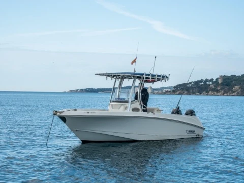 Location Bateau à moteur Boston Whaler avec permis
