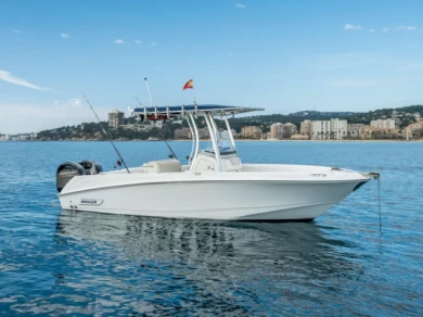 Boston Whaler Boston Whaler 220 Outrage między profesjonalistami a osobami prywatnymi w Marina de Palamós