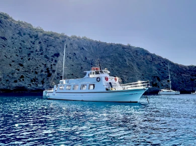 Pronájem jachty v Ibiza (Ville) -Artesanal Golondrina na Samboatu