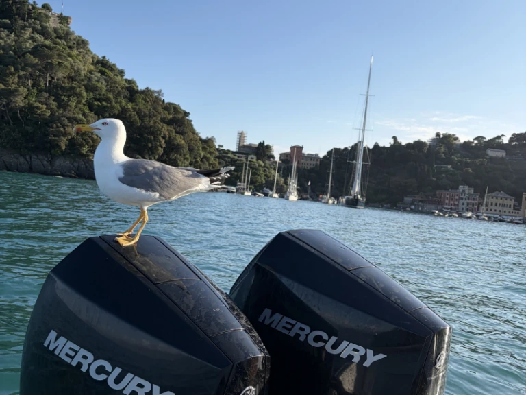 Louez un SCAND  Scand 9200 à Rapallo