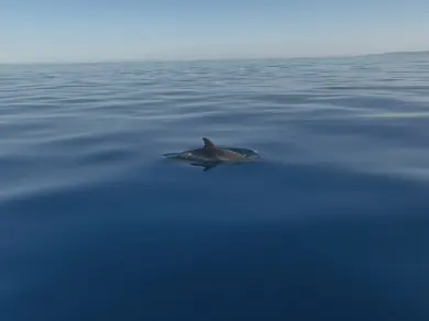 Location Bateau à moteur Acquabat avec permis