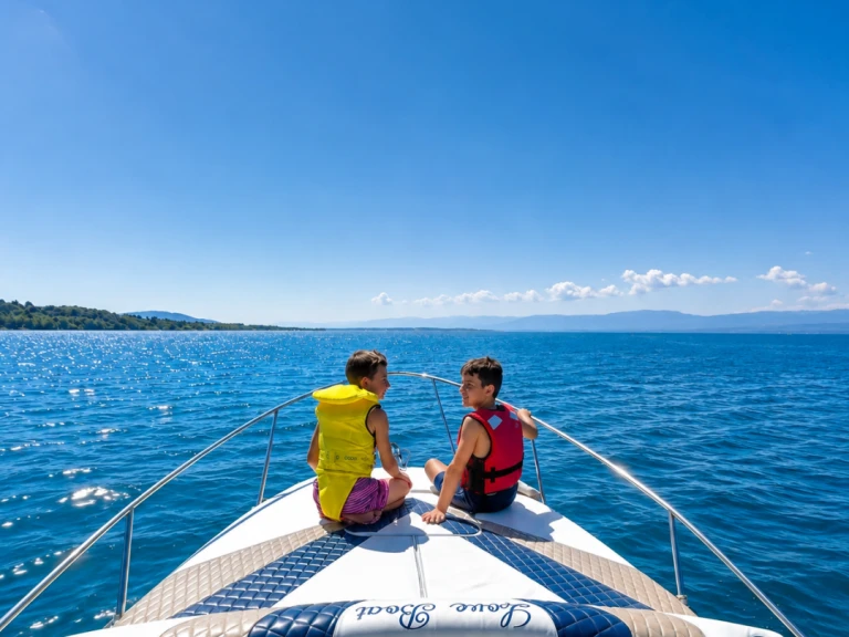 Louez un Bayliner Bayliner 255 à Thonon-les-Bains