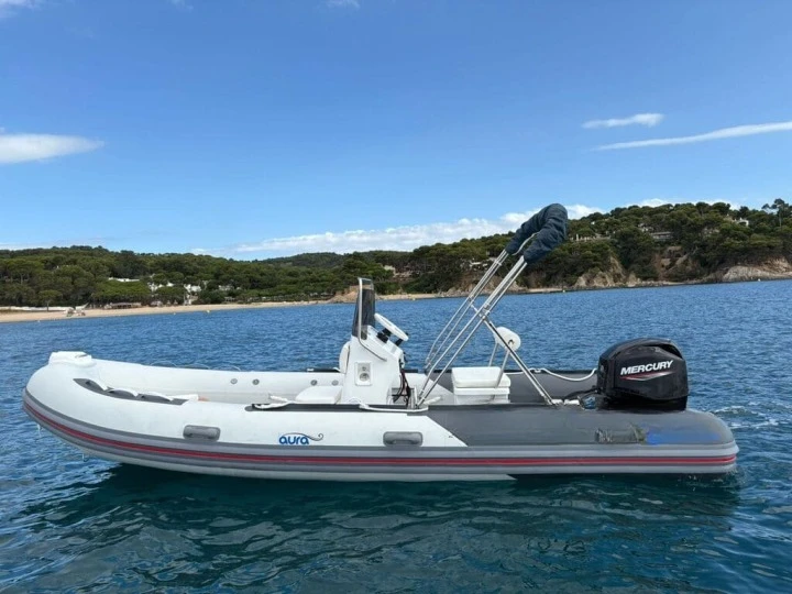 Location Bateau à moteur Silver avec permis