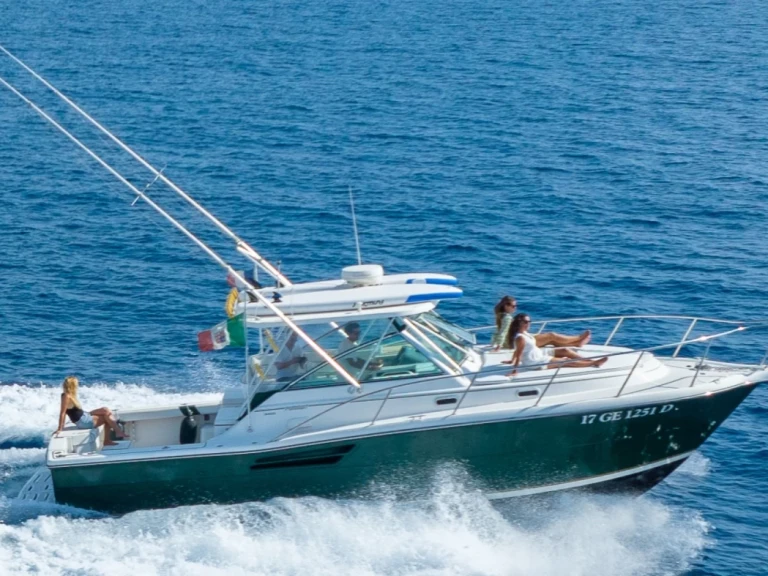 Louer Bateau à moteur avec ou sans skipper Pursuit à Marseille