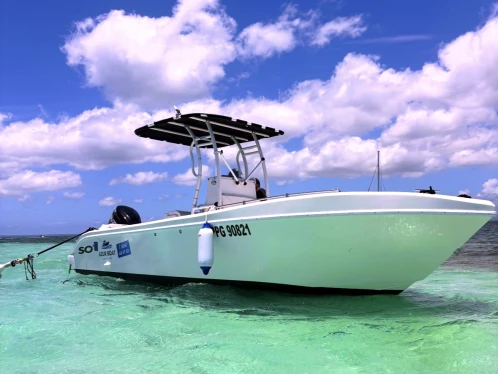Location bateau Forboat 23' à Pointe-à-Pitre sur Samboat