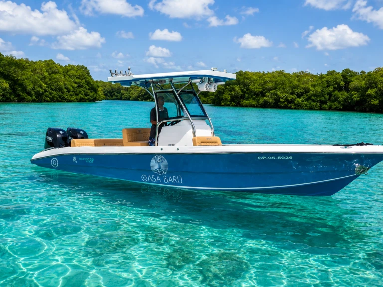 Location Catamaran à Bahía de Cartagena de Indias - Custom Made custom