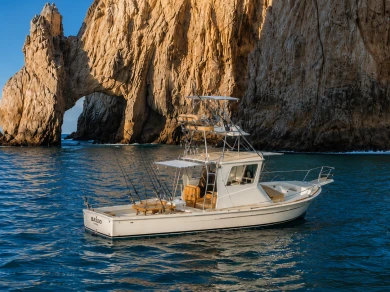 Wynajem w Cabo San Lucas- Custom Made custom na SamBoat