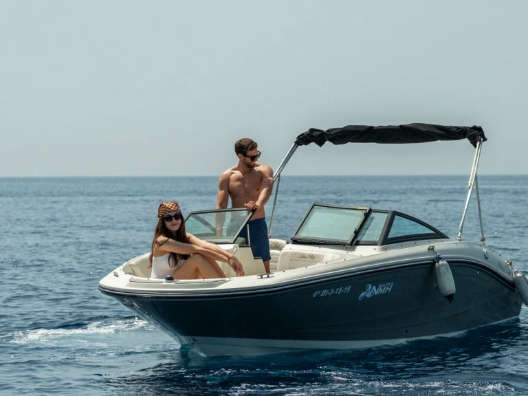 Location bateau Sea Ray SPX 190 à La Herradura sur Samboat