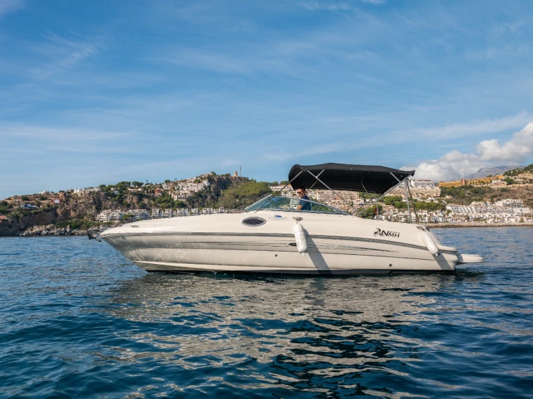 Louer Bateau à moteur avec ou sans skipper Sea Ray à La Herradura
