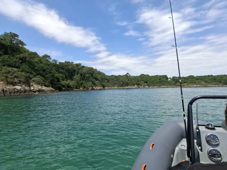 Location Semi-rigide 3D Tender avec permis