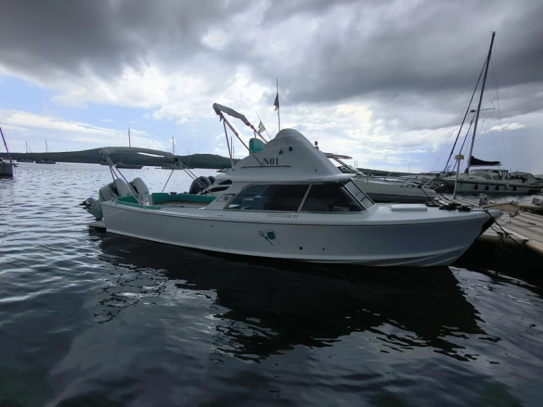 Location Bateau à moteur à Porto Pozzo - Bertram 31