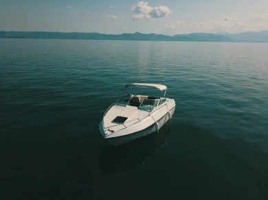 Crownline Crownline 210 CCR charter bareboat or captained in  Évian-les-Bains