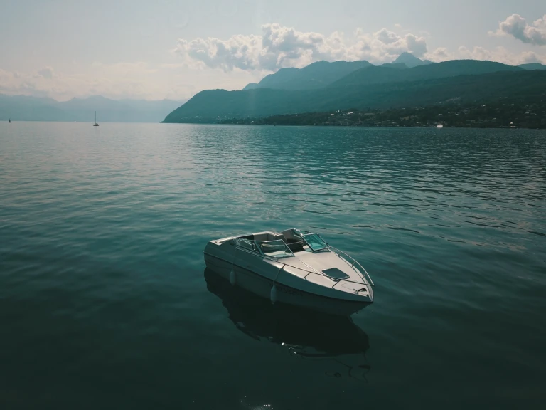 Location Bateau à moteur à Évian-les-Bains - Crownline Crownline 210 CCR