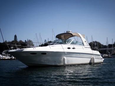Wynajem łodzi Sea Ray Sundancer w Comté de Los Angeles na SamBoat 