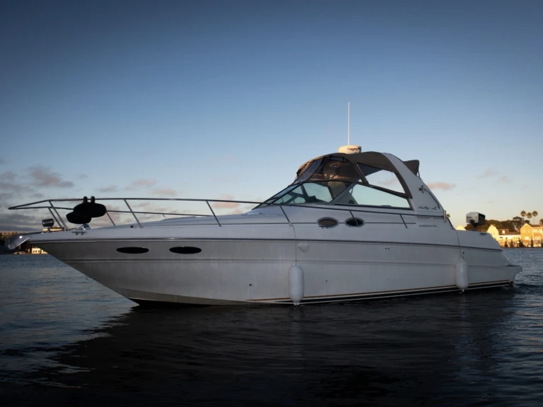 Location Bateau à moteur Sea Ray avec permis